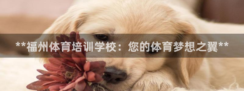 尊龙凯时人生就是博中国官网：**福州体育培训学校：您