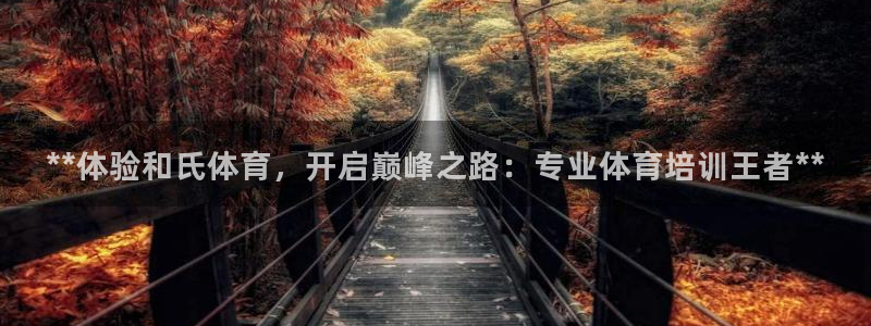 尊龙D88现金旧版：**体验和氏体育，开启巅峰之路：