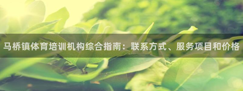 尊龙凯时平台还是万博好：马桥镇体育培训机构综合指南：