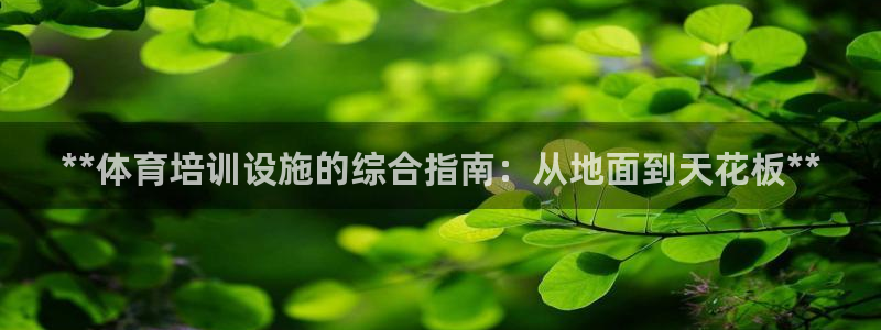 尊龙人生就是博下载：**体育培训设施的综合指南：从地