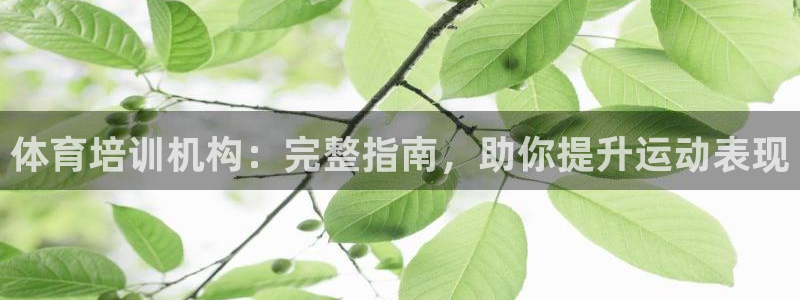 尊龙人生就是博l：体育培训机构：完整指南，助你提升运