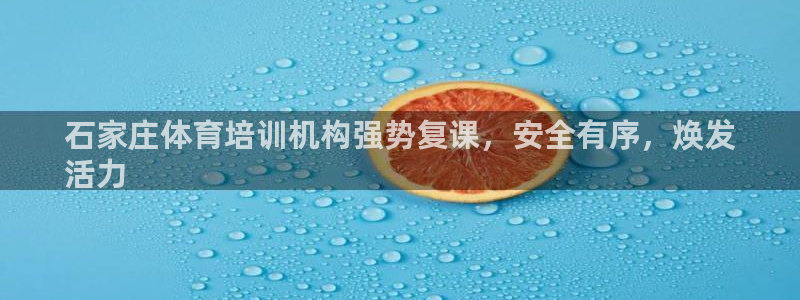 尊龙凯时俱乐部：石家庄体育培训机构强势复课，安全有序