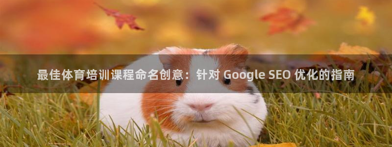 尊龙凯时人生就是搏 品牌专区：最佳体育培训课程命名创