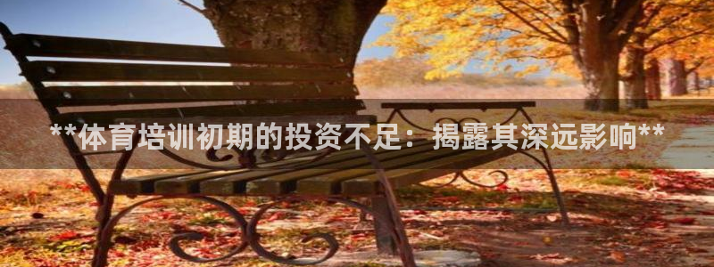 尊龙d88现金关注ag发财网：**体育培训初期的投资
