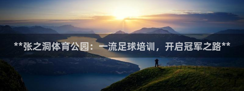 尊龙品牌怎么样：**张之洞体育公园：一流足球培训，开