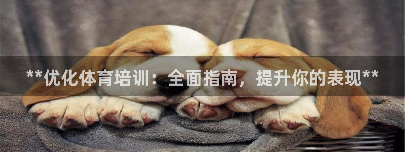 尊龙官网免费下载安装：**优化体育培训：全面指南，提