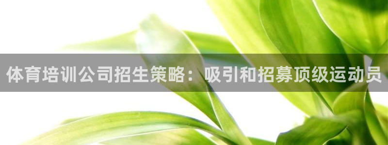 z6尊龙官网：体育培训公司招生策略：吸引和招募顶级运