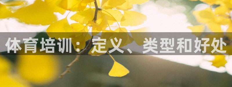 尊龙凯时登入首页：体育培训：定义、类型和好处