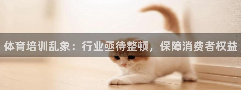 凯时ag旗舰厅登录：体育培训乱象：行业亟待整顿，保障