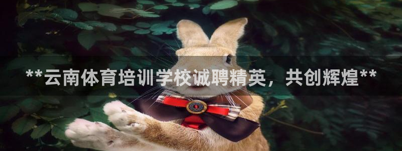 尊龙凯时为什么不封：**云南体育培训学校诚聘精英，共