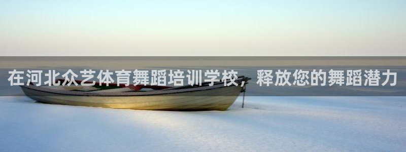 凯时国际官方版：在河北众艺体育舞蹈培训学校，释放您的