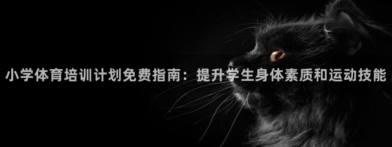 尊龙AG发财网：小学体育培训计划免费指南：提升学生身