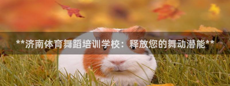 凯时登录首页,凯时K66：**济南体育舞蹈培训学校：