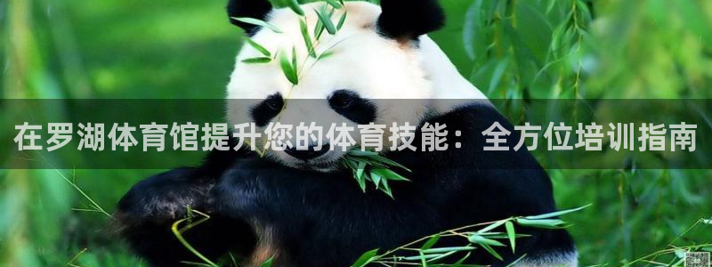尊龙凯时论坛：在罗湖体育馆提升您的体育技能：全方位培