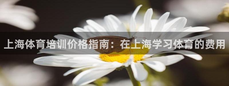 z6尊龙凯时旗舰厅首页：上海体育培训价格指南：在上海