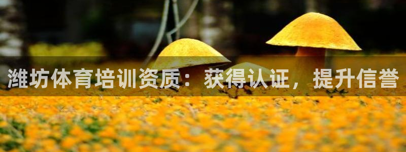 旧版尊龙人生就是博下载：潍坊体育培训资质：获得认证，