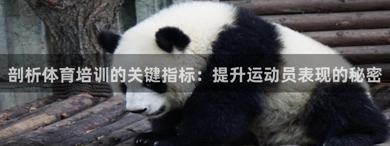 凯时k8官网首页：剖析体育培训的关键指标：提升运动员