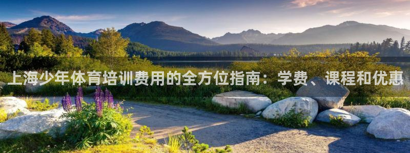 尊龙凯时取款有要求吗：上海少年体育培训费用的全方位指