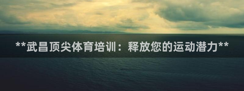 AG尊龙注册在线游戏：**武昌顶尖体育培训：释放您的