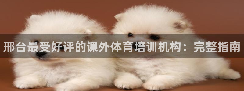 尊龙凯时 人生就是搏!：邢台最受好评的课外体育培训机