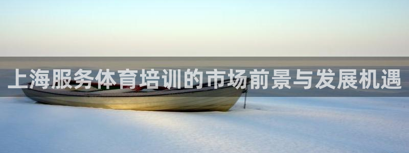 尊龙手机官方客户端下载安装：上海服务体育培训的市场前