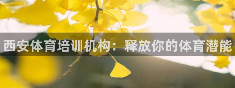 尊龙体育电竞官网：西安体育培训机构：释放你的体育潜能