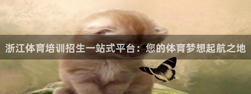 尊龙集团有限公司招聘：浙江体育培训招生一站式平台：您