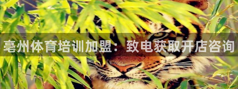 尊龙d88现金可来就送38：亳州体育培训加盟：致电获