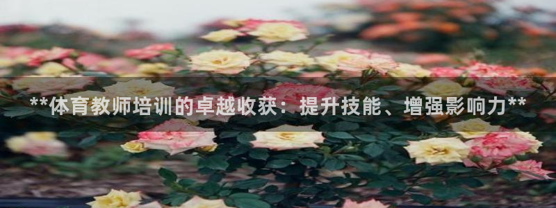 尊龙网址登录官网：**体育教师培训的卓越收获：提升技
