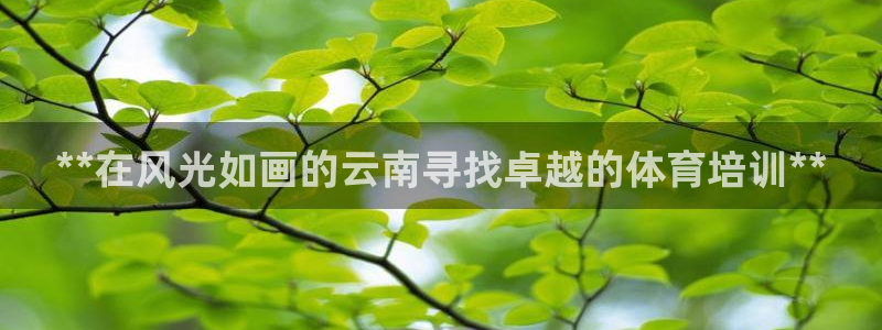 d88尊龙手机登录下载：**在风光如画的云南寻找卓越