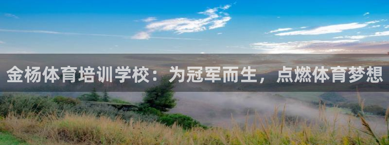 尊龙凯时网娱乐最新版下载：金杨体育培训学校：为冠军而