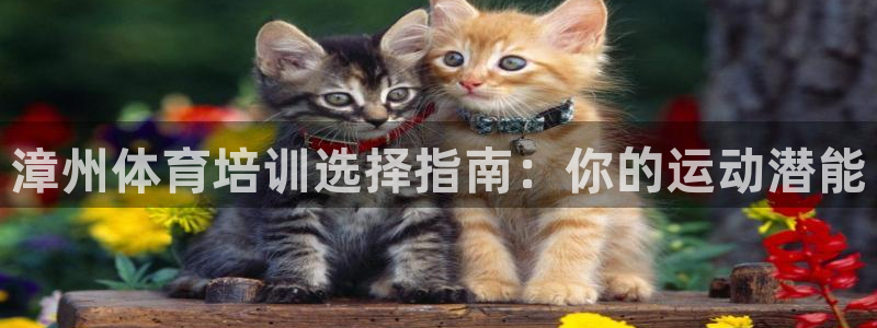 尊龙/人生就是博：漳州体育培训选择指南：你的运动潜能