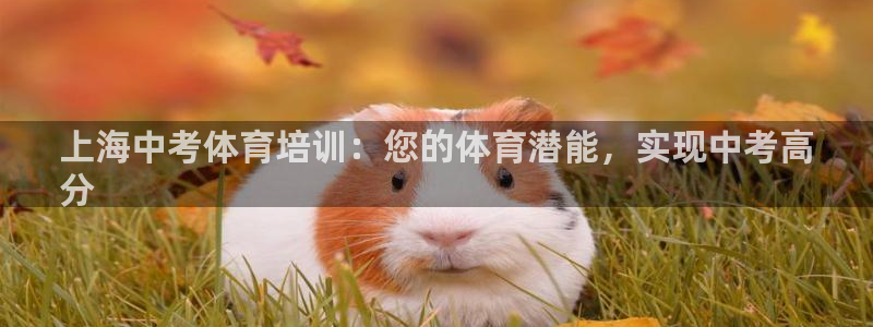 尊龙旗舰厅：上海中考体育培训：您的体育潜能，实现中考