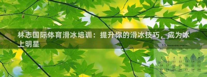 尊龙凯时怎么注册：林志国际体育滑冰培训：提升你的滑冰