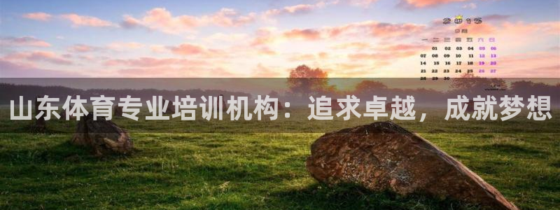 尊龙凯时网：山东体育专业培训机构：追求卓越，成就梦想