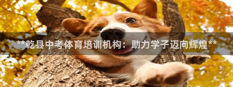 Z6尊龙凯时官方：**乾县中考体育培训机构：助力学子
