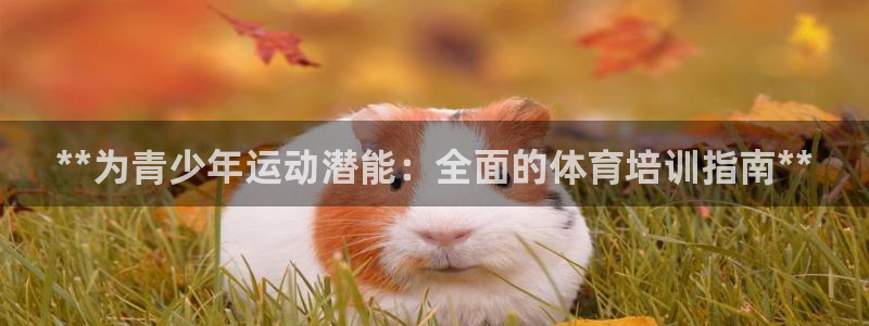 尊龙官网网站：**为青少年运动潜能：全面的体育培训指