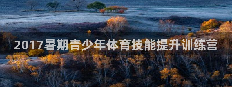 尊龙凯时麻将胡了：2017暑期青少年体育技能提升训练