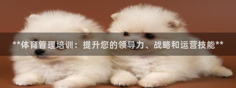 尊龙官方app下载：**体育管理培训：提升您的领导力