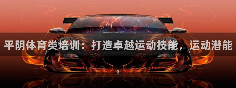 尊龙2020：平阴体育类培训：打造卓越运动技能，运动