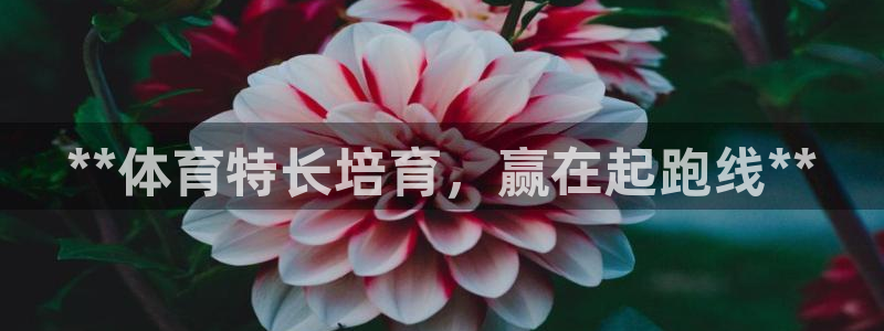 尊龙饰演过的经典角色：**体育特长培育，赢在起跑线*