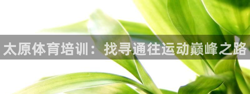 尊龙人品怎么样：太原体育培训：找寻通往运动巅峰之路