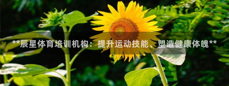 尊龙官网入口：**辰星体育培训机构：提升运动技能、塑