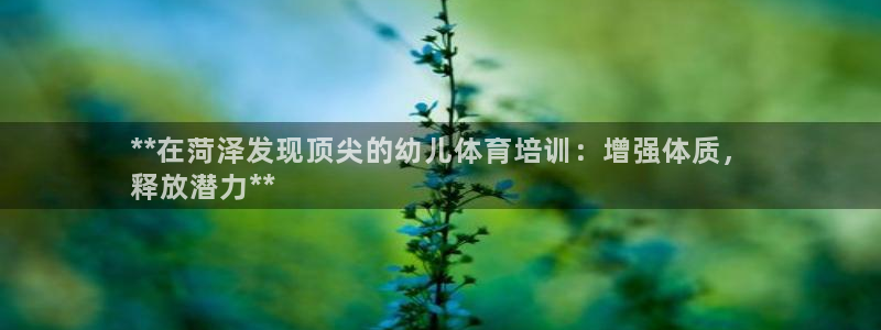 尊龙凯时网：**在菏泽发现顶尖的幼儿体育培训：增强体