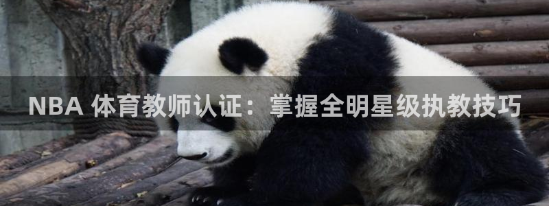 尊龙人生就是博ag：NBA 体育教师认证：掌握全明星