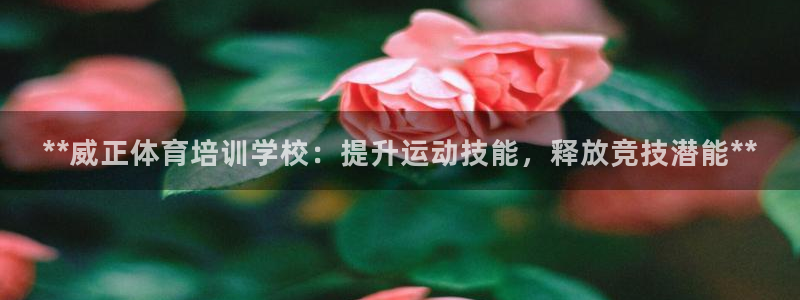 尊龙凯时app官网：**威正体育培训学校：提升运动技