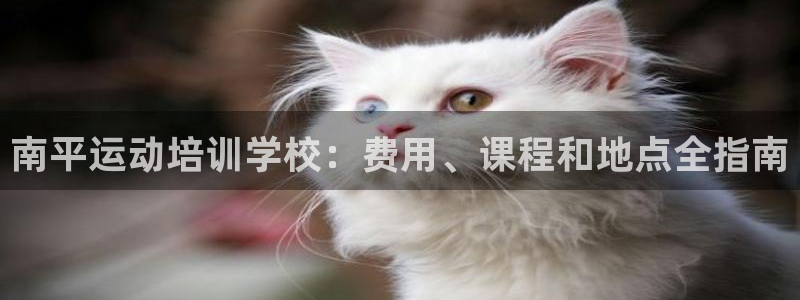 尊龙凯时平台正规吗：南平运动培训学校：费用、课程和地