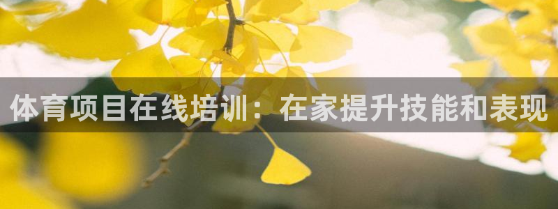 尊龙网址苹果版下载：体育项目在线培训：在家提升技能和