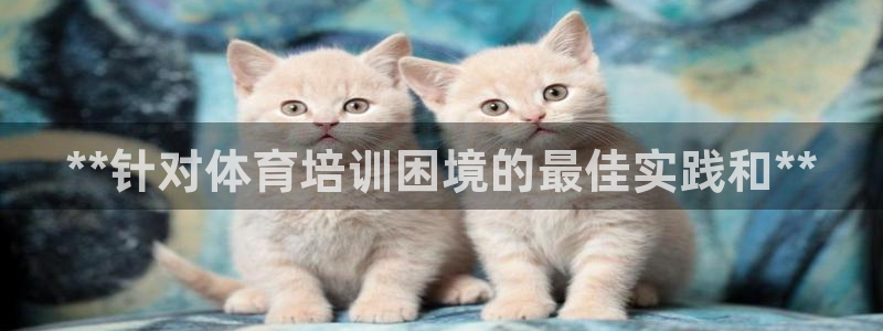 尊龙电子：**针对体育培训困境的最佳实践和**