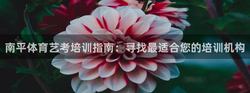 尊龙目前情况：南平体育艺考培训指南：寻找最适合您的培